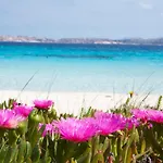דירה Bilancia Vi - Sea View - 30'porto Cervo סנטה טרזה גאיורה